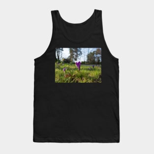 Purple flowering crocus. Time to spring Tank Top